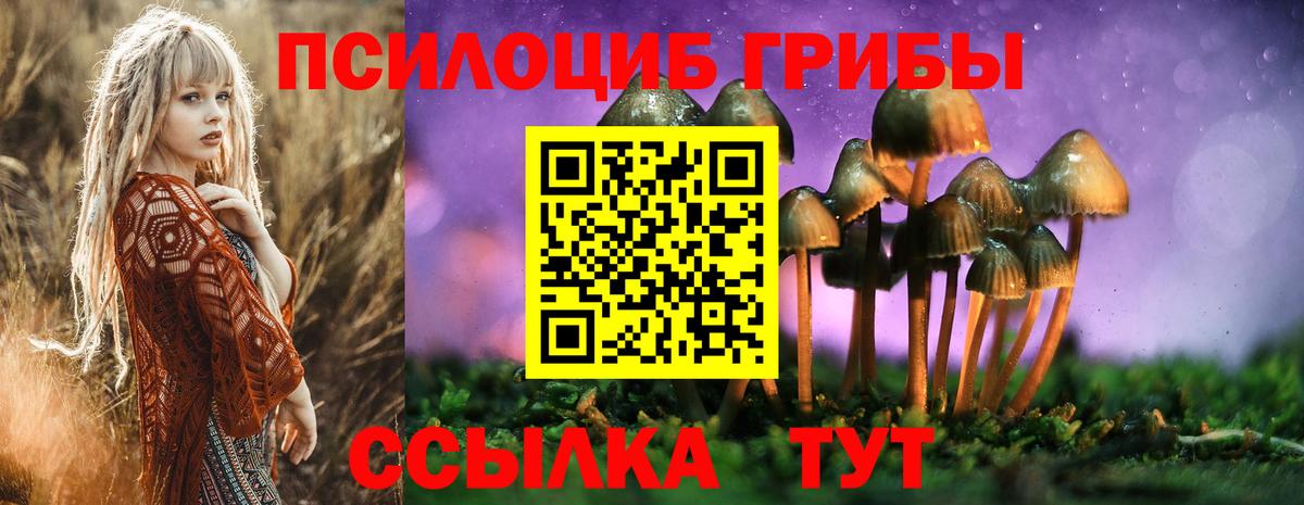 Галлюциногенные грибы Cubensis Ирбит